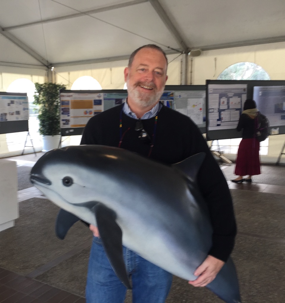 Kutaya chiyembekezo. Kutaya Vaquita The Ocean Foundation